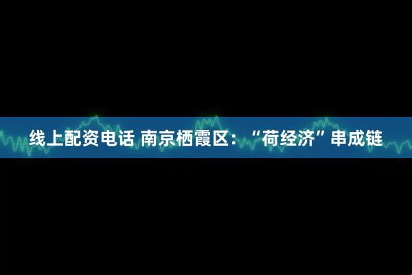 线上配资电话 南京栖霞区：“荷经济”串成链