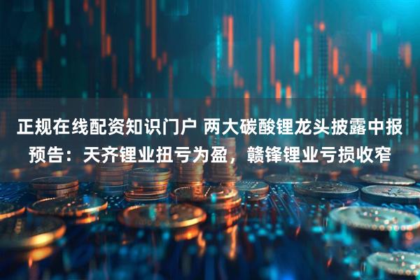 正规在线配资知识门户 两大碳酸锂龙头披露中报预告：天齐锂业扭亏为盈，赣锋锂业亏损收窄