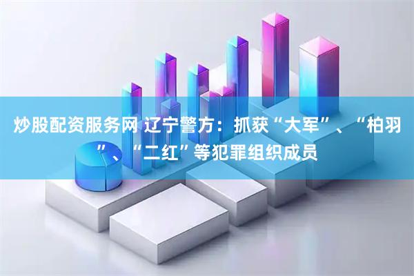 炒股配资服务网 辽宁警方：抓获“大军”、“柏羽”、“二红”等犯罪组织成员